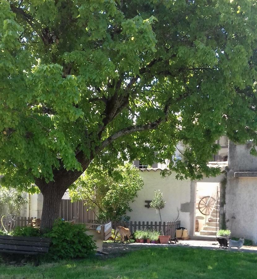 Le Patio Aux Hirondelles Villa Lagorce  Esterno foto