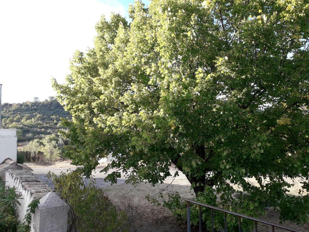 Le Patio Aux Hirondelles Villa Lagorce  Esterno foto